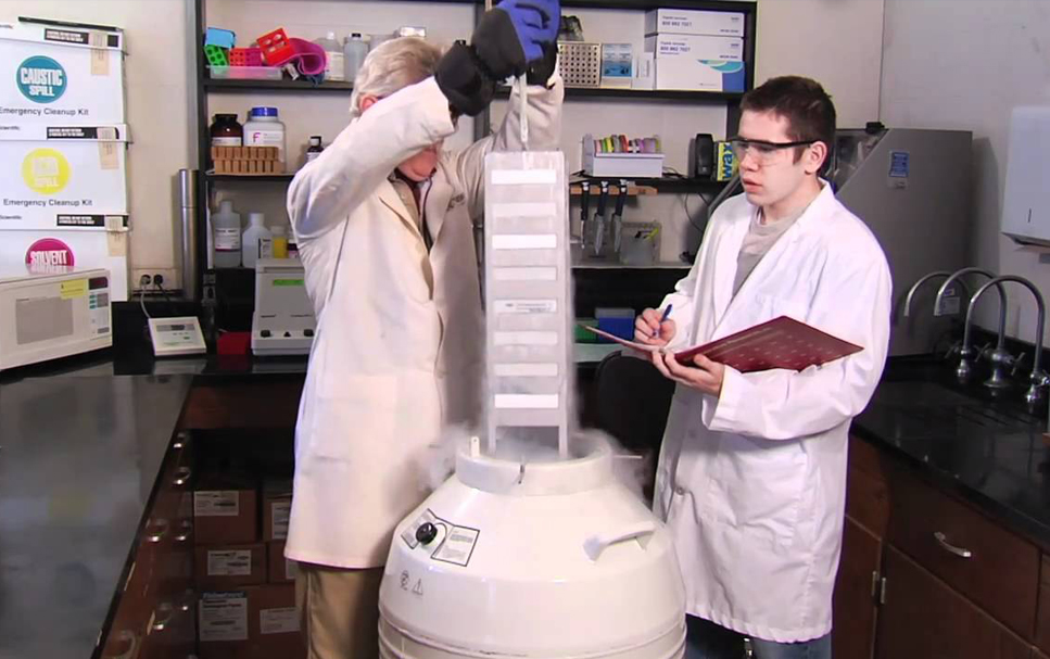 Student assists a professor in a lab