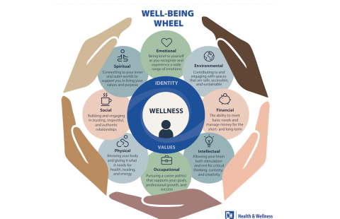 Well-being wheel