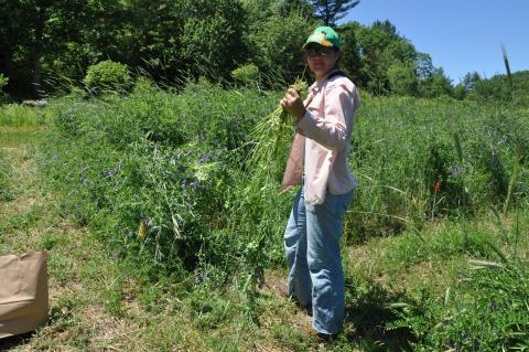 NRESS Ph.D. student Natalie Lounsbury